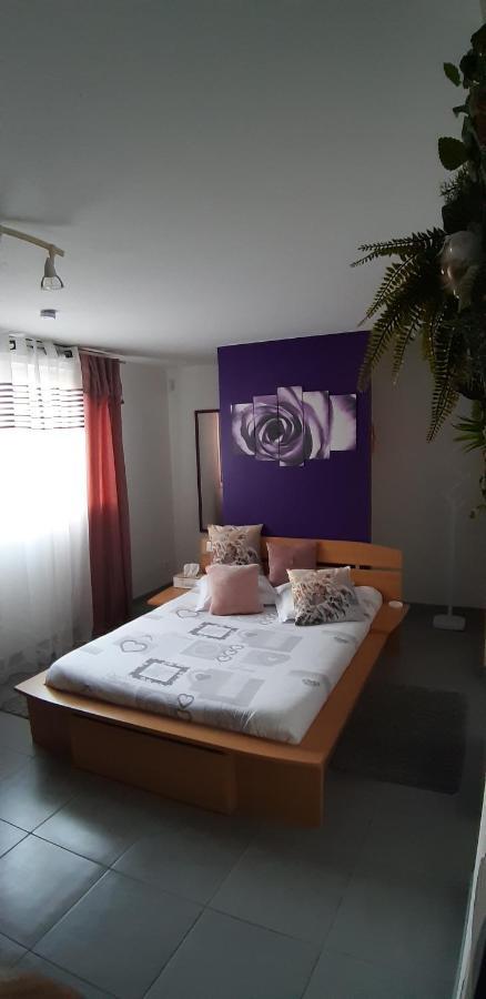 Apartament Gite "Lili" Lapoutroie Zewnętrze zdjęcie