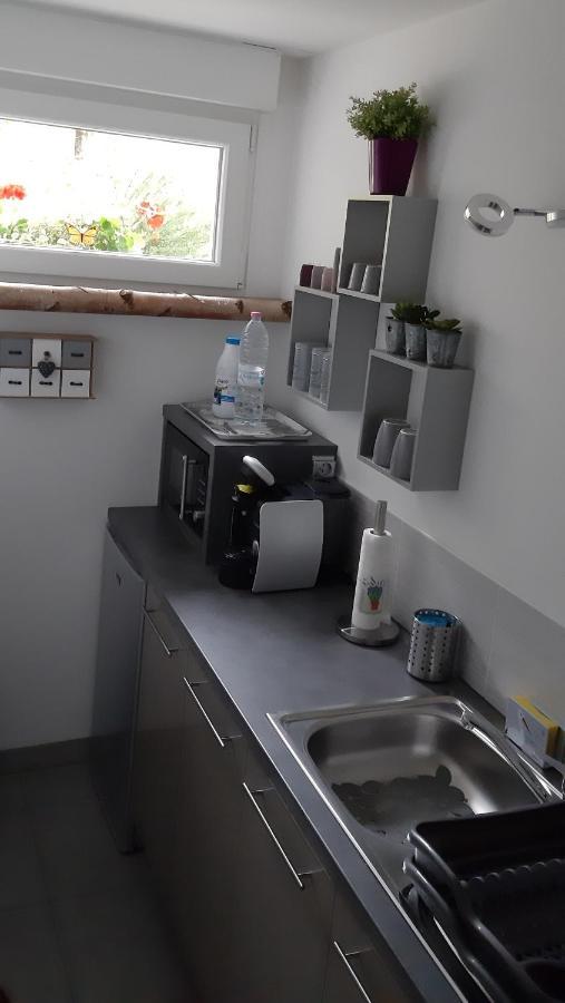 Apartament Gite "Lili" Lapoutroie Zewnętrze zdjęcie